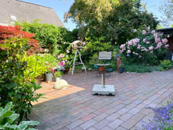 Bild13